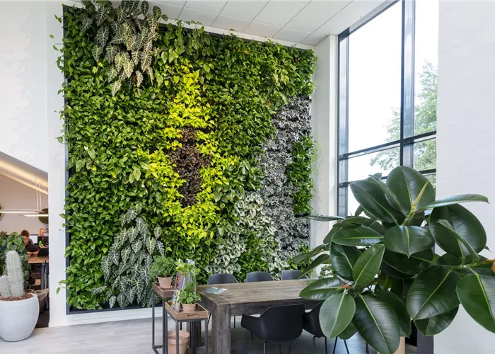 Greenwalls