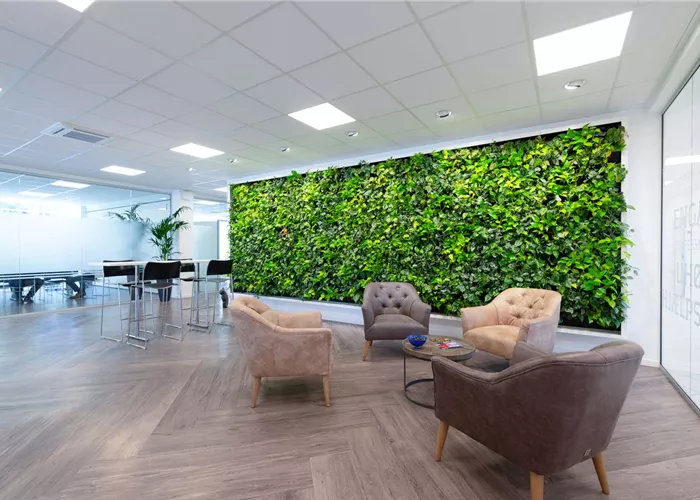 NGW Greenwall 1 1600px_COLOURBOX36331663.jpg