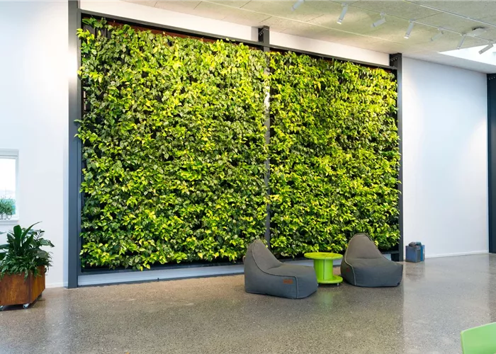 NGW Greenwall 8 1600px_COLOURBOX36331696.jpg