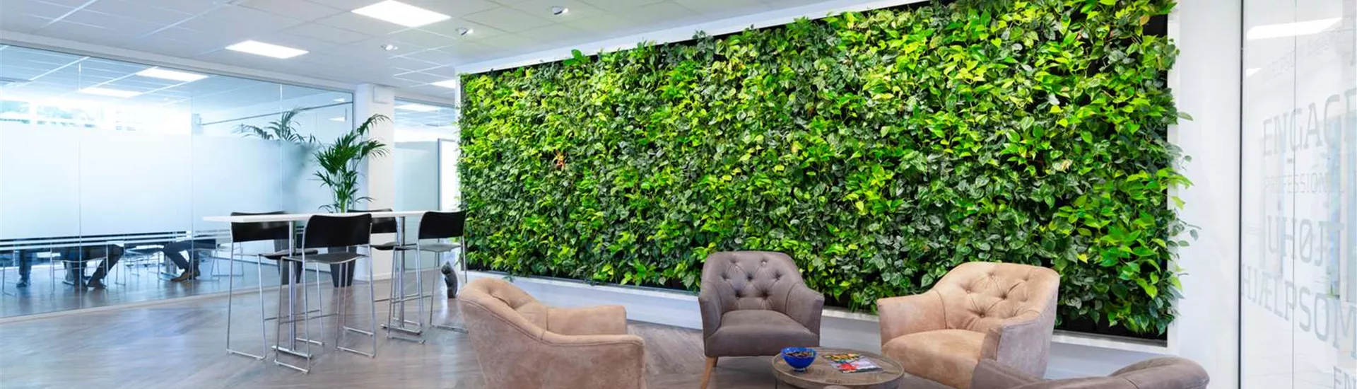 Titelbild Unterseite Indiv. Green Walls.jpg